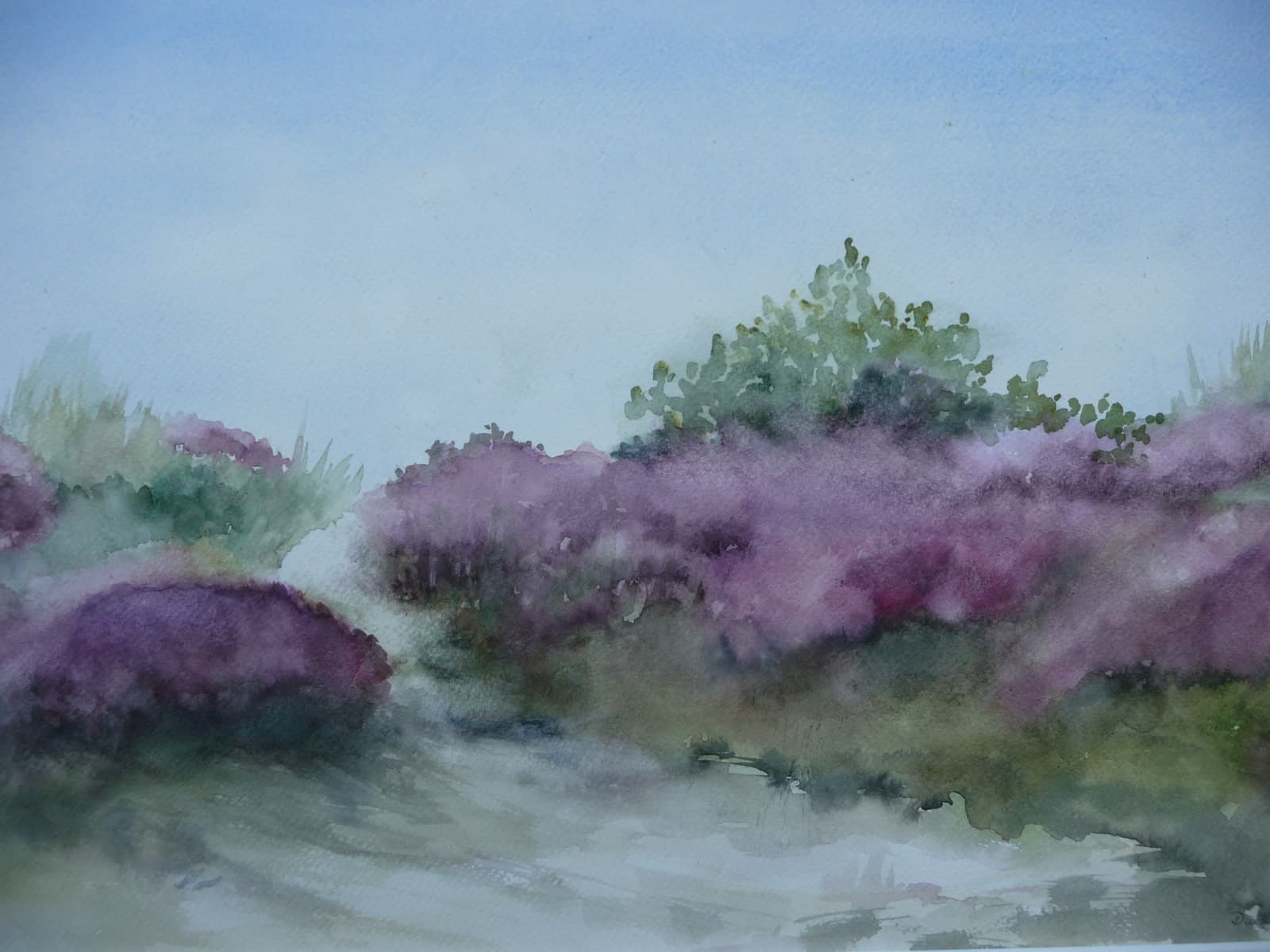 Aquarel schilderij 14