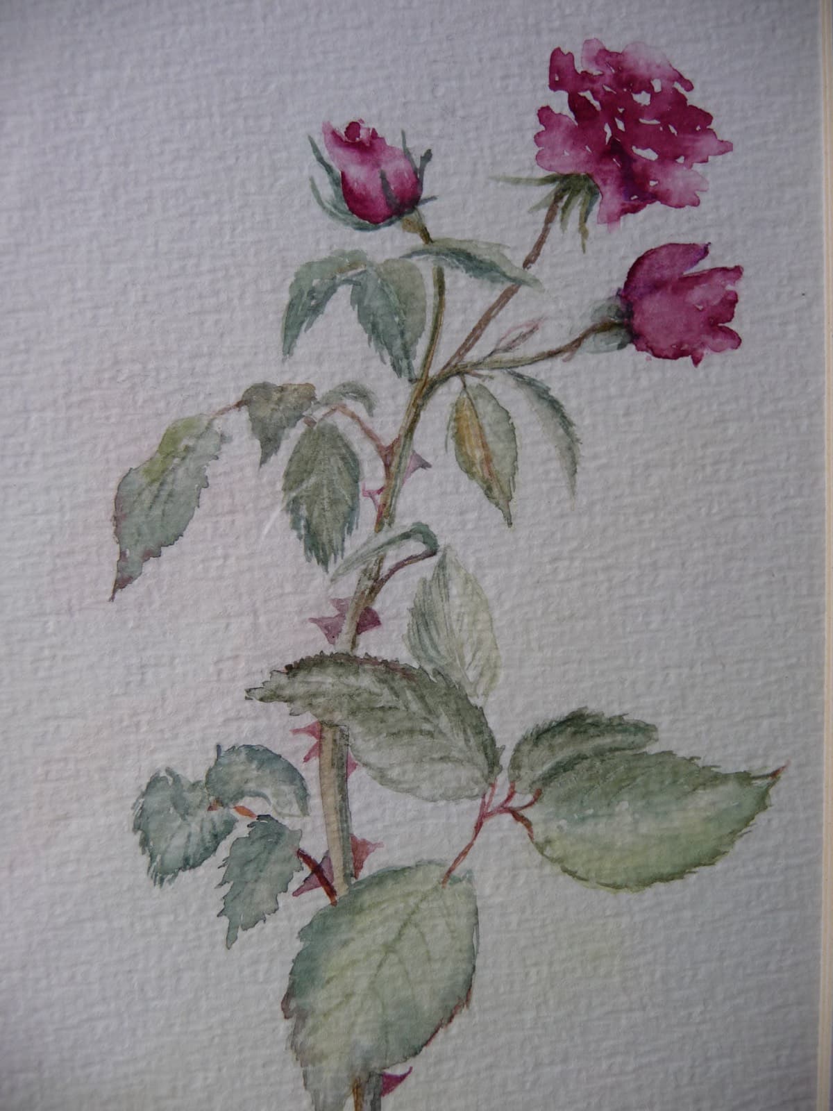 Aquarel schilderij 33