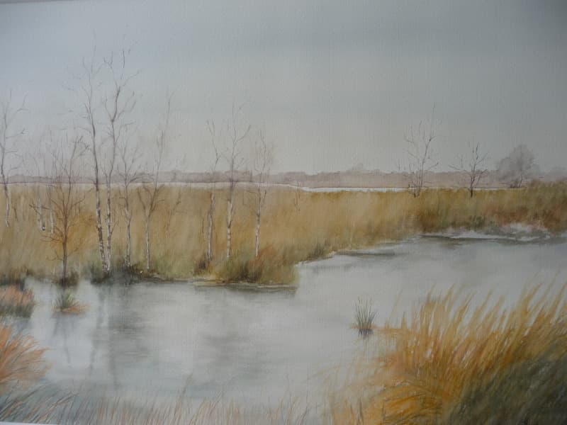 Aquarel schilderij 14